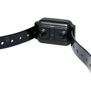 Remote Dog Training Collar 1000 Yards Remote Static Shock Training Collar for 2 dogs