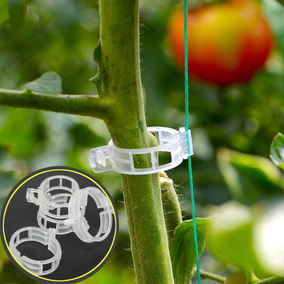 50Pcs Plant Support Garden Clips Trellis for Vine Tomato Upright Grow Plant Clips Veget Tool