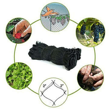 30X15M Plant Fruit Tree Knitted Anti Bird Netting Pest Net 5CM Hole