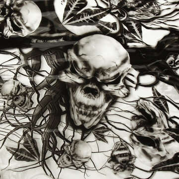 BIKIGHT 50x100CM PVA Hydrographic Film Odorless Water Transfer Printing Film Hydro Dip Skull Style D