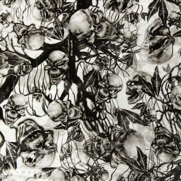 BIKIGHT 50x100CM PVA Hydrographic Film Odorless Water Transfer Printing Film Hydro Dip Skull Style D