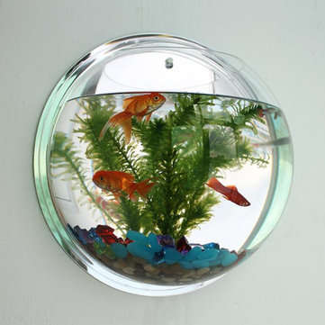 Acrylic Aquarium Fish Tank Wall Mounted Hanging Plant Pot Grow Vase Home Decor