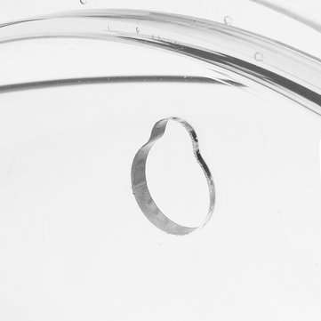 Acrylic Aquarium Fish Tank Wall Mounted Hanging Plant Pot Grow Vase Home Decor