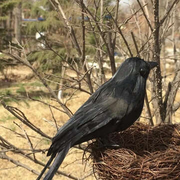 1pcs Halloween Black Crows Birds Decor Artificial Realistic Woodland Hlloween Decorations for Garden