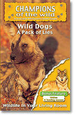 Wild Dogs - Champions Of The Wild - Wild Dogs / Wolves In Association With Discovery Channel ALL