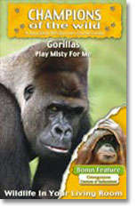 Gorillas - Champions Of The Wild - Gorillas / Orgatangs In Association With Discovery Channel ALL