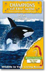 Orcas - Champions Of The Wild - Orcas / Sea Horse In Association With Discovery Channel ALL AGES