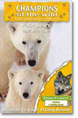 Polar Bears - Champions Of The Wild - Polar Bears / Wolves In Association With Discovery Channel