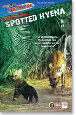 Hyena - Be The Creature - Expedition Spotted Hyena From National Geographic Channel ALL AGES