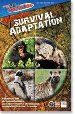 Survival Adaptation - Be The Creature - Expedition Survival Adaptation From National Geographic