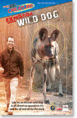 Wild Dog - Be The Creature - Expedition Wild Dog From National Geographic Channel ALL AGES