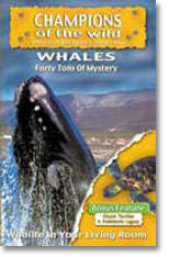 Whales - Champions Of The Wild - Whales / Giant Turtles In Association With Discovery Channel ALL