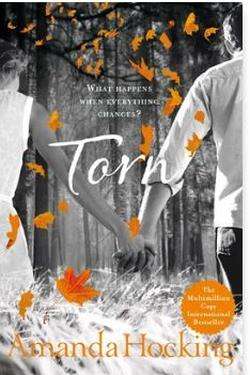 Torn - Amanda Hocking