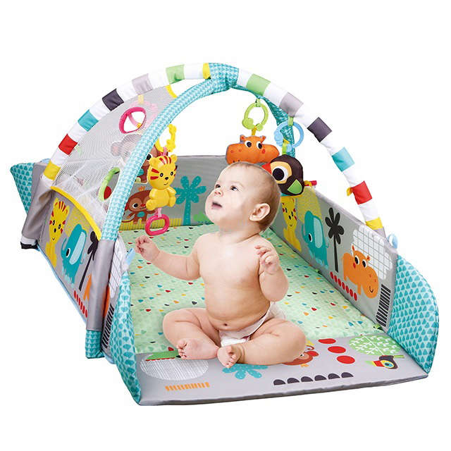 5 in 1 Activity Gym & Ball Pit