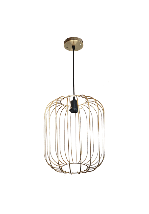 Wire Frame Pendant Light | FR22