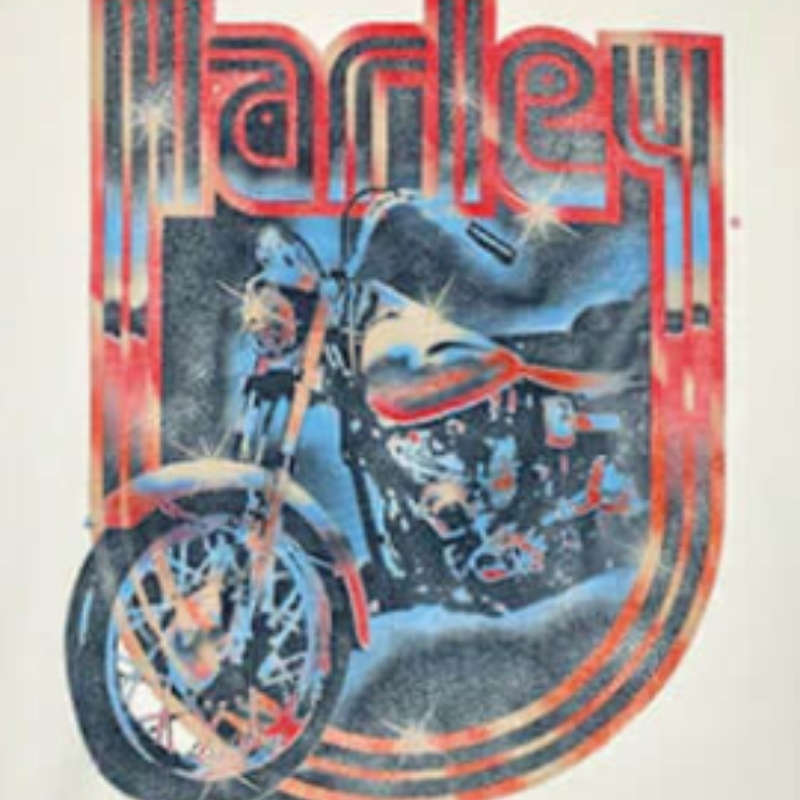 Women's Retro Bike Graphic Tee - XL