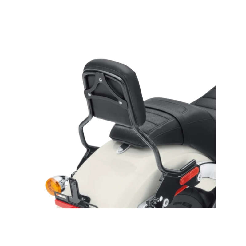 HoldFast Sissy Bar Upright - Standard Height