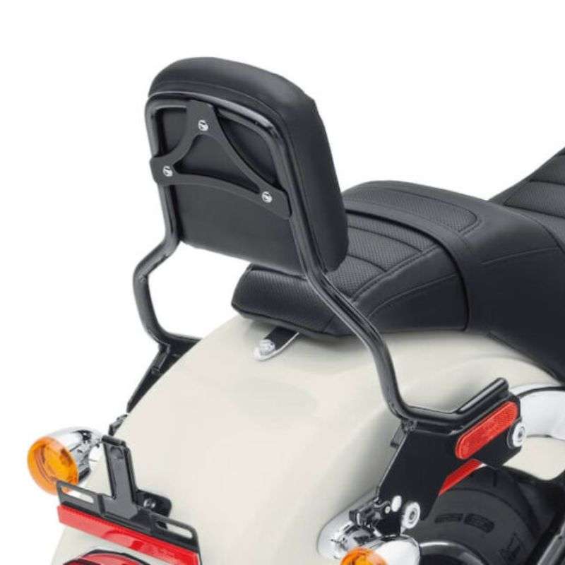 HoldFast Sissy Bar Upright - Standard Height