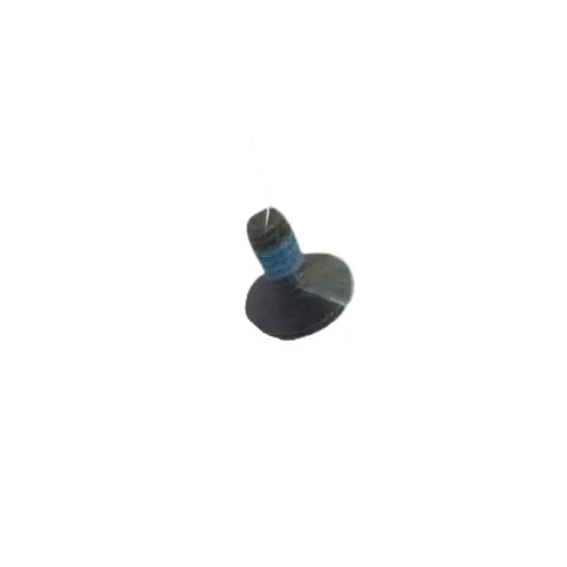 Torx Button Head Screw
