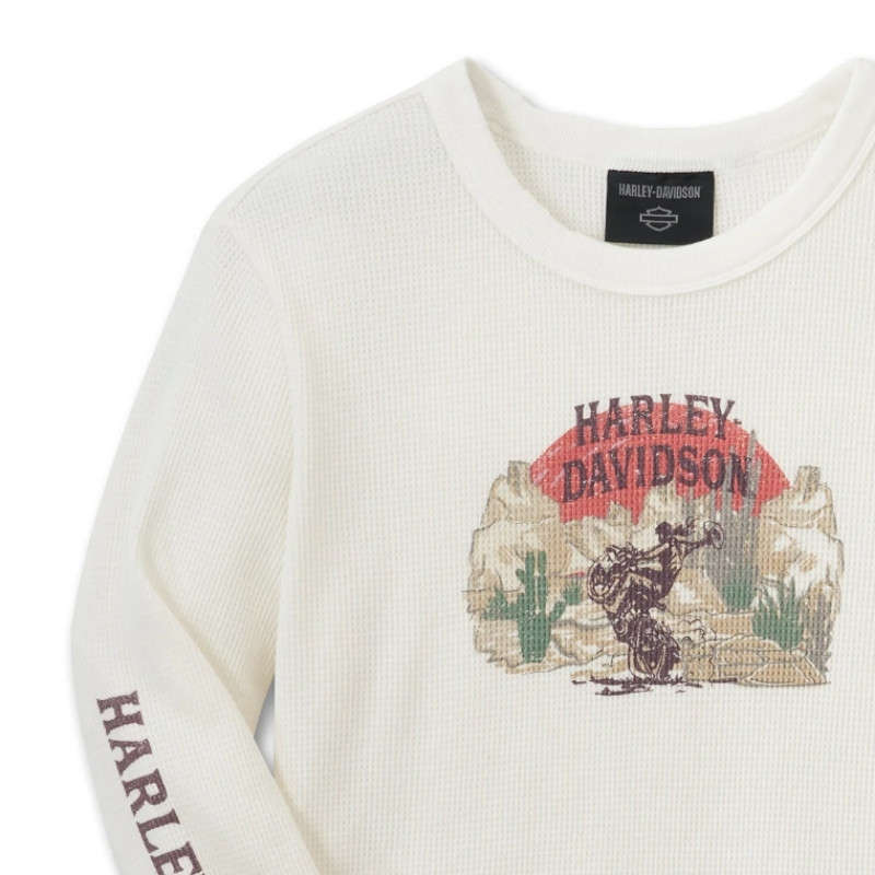 Women's Cowgirl Graphic Tee - 2XL