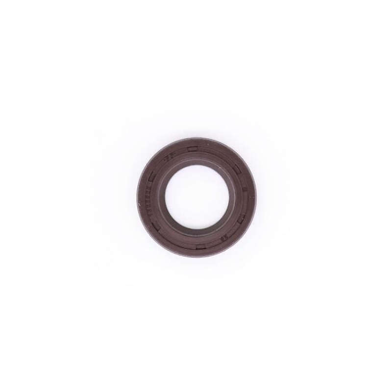 Oil Seal 12x20x5
