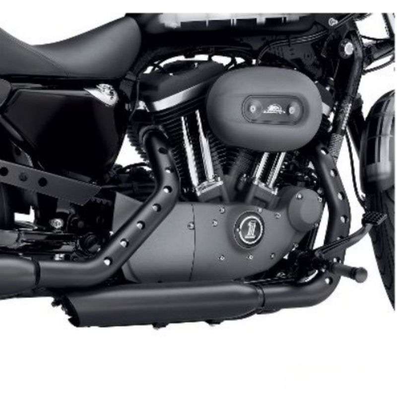 Screamin' Eagle® Buckshot Exhaust Shield Kit