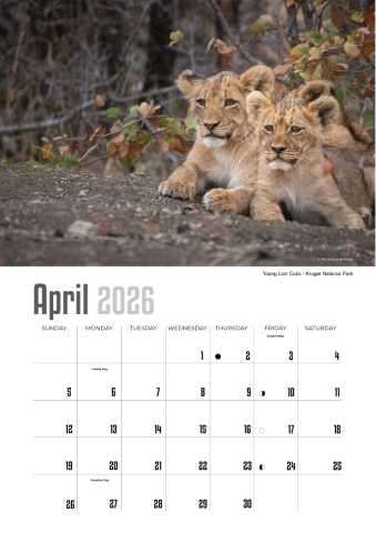 A4 Calendar  Wildlife Calendar 2026