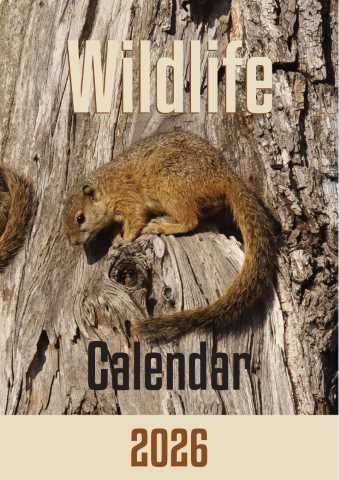 A4 Calendar  Wildlife Calendar 2026