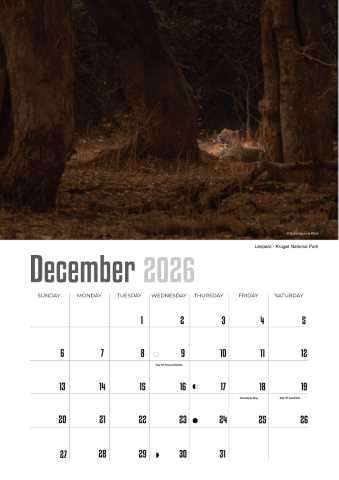 A4 Calendar  Wildlife Calendar 2026