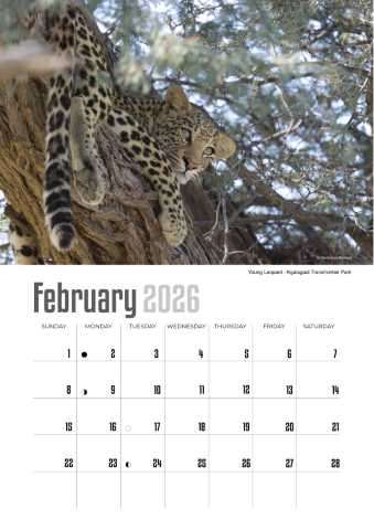 A4 Calendar  Wildlife Calendar 2026