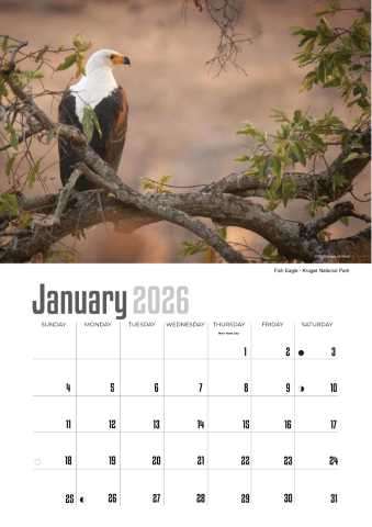 A4 Calendar  Wildlife Calendar 2026