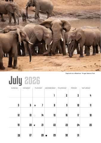 A4 Calendar  Wildlife Calendar 2026