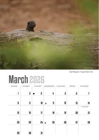 A4 Calendar  Wildlife Calendar 2026
