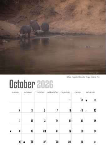 A4 Calendar  Wildlife Calendar 2026