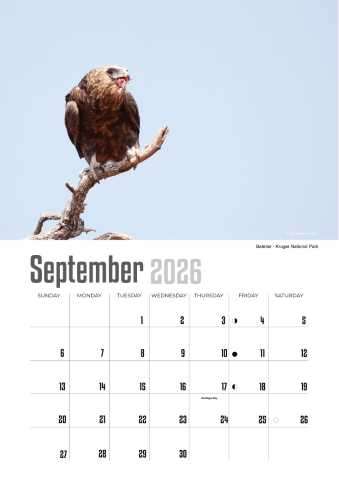 A4 Calendar  Wildlife Calendar 2026