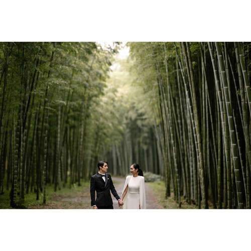 Nikon Z 85mm f/1.2 S Lens