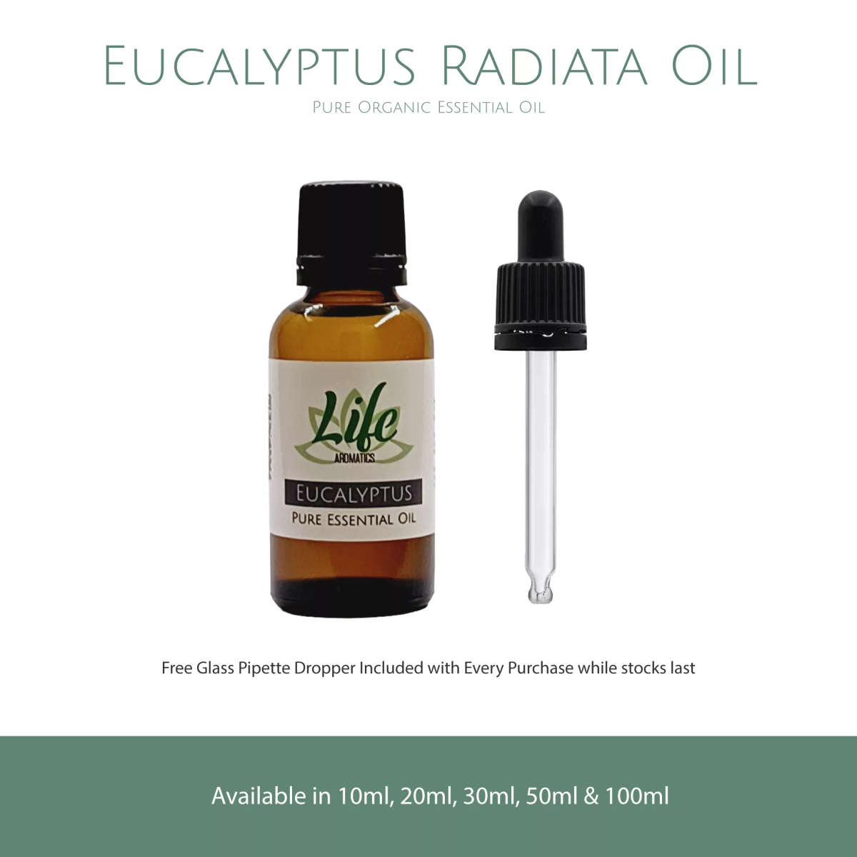 Eucalyptus Essential Oil (organic)