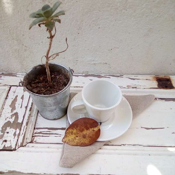 Natural Linen Napkins