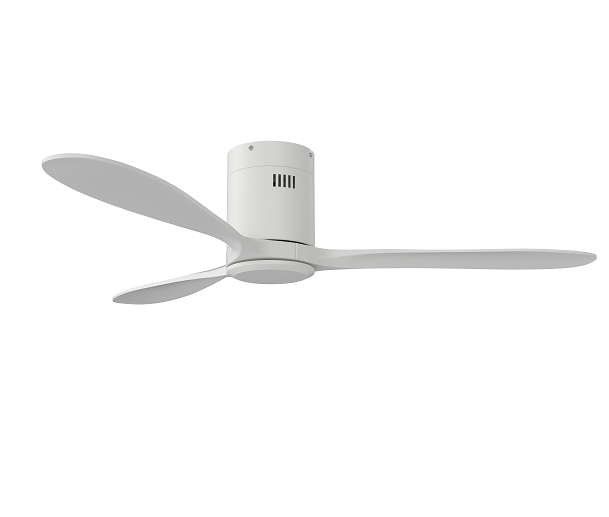 Hugger Remote Ceiling Fan - Solent