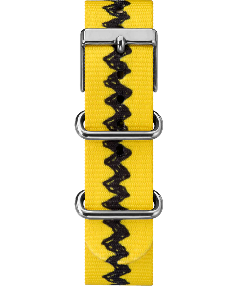 Timex x Peanuts Charlie Brown Weekender (TW2R41100) 38mm