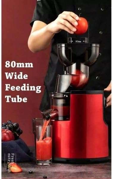 Electric Slow Juicer