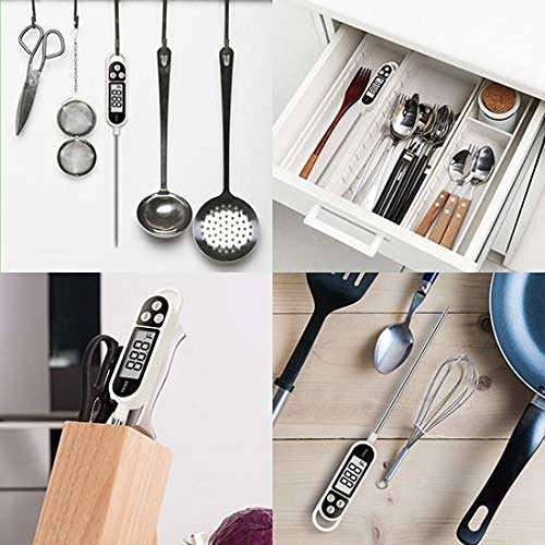 Digital Thermometer TP300