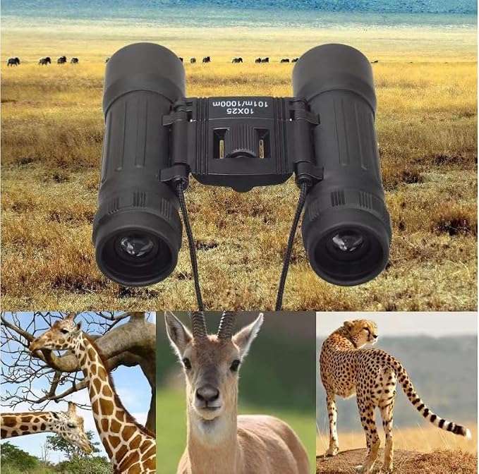 10x25 Folding Compact Binoculars with FMC Lens, 101m/1000m
