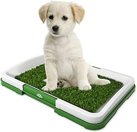 Artificial Grass Pee Pad Set for Dogs - Reusable Puppy Essential for Potty Training Small Pets