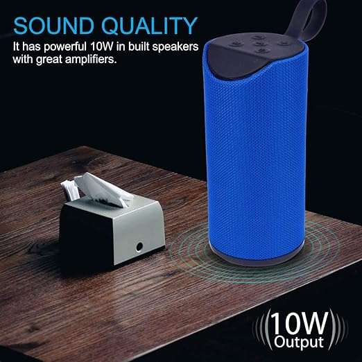 Portable Wireless Speaker Model 113