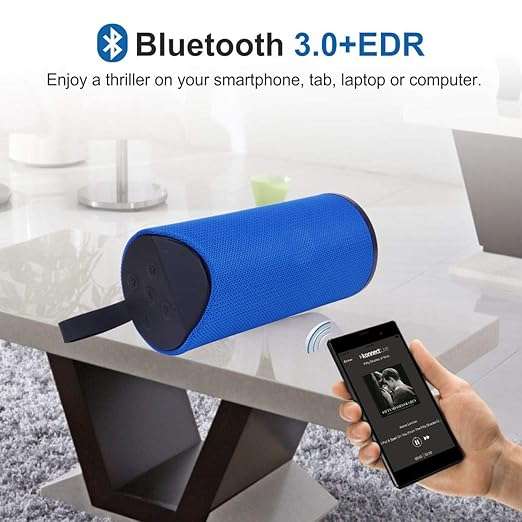 Portable Wireless Speaker Model 113