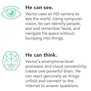 Vector Robot by Anki - Your Voice Controlled, AI Robotic Companion, With Alexa Built-In