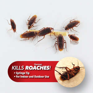 ROACH DOCTOR COCKROACH GEL