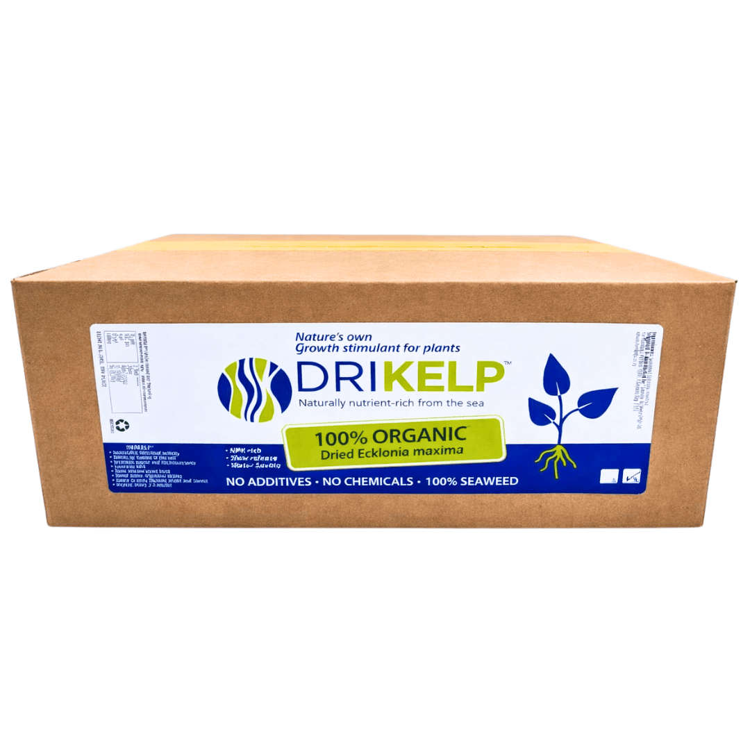 DRIKELP® Dried Kelp
