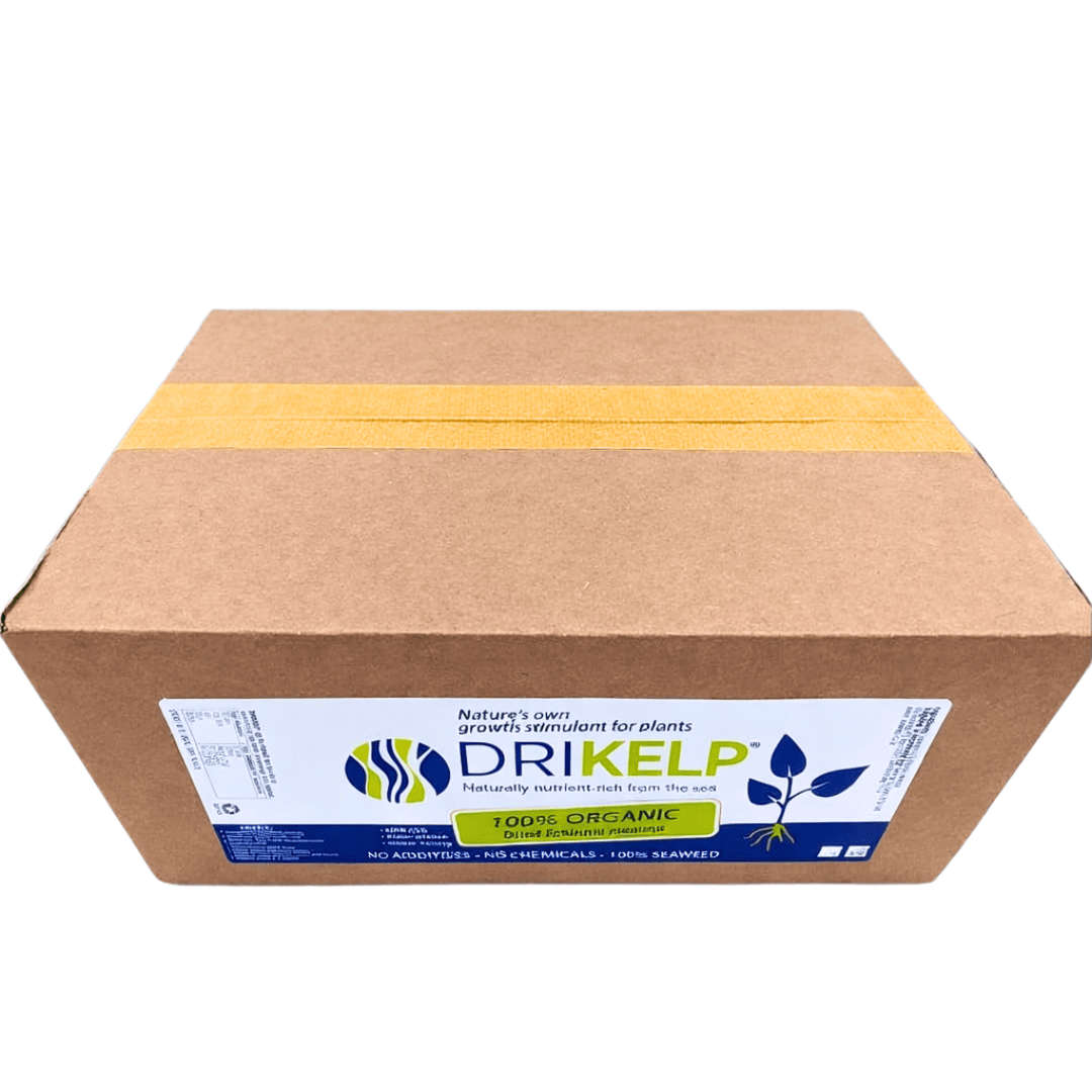 DRIKELP® Dried Kelp